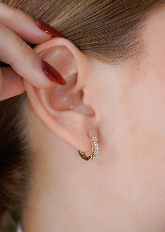 FREDA - Candonga Shine